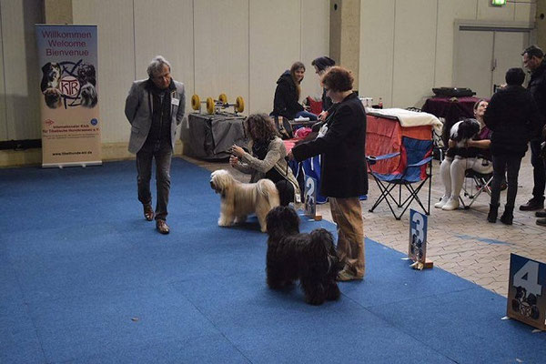Yeshi in Kassel - Nationale Ausstellung 2015