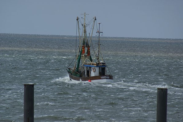 Auf Nordstrand