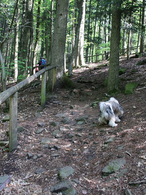 Han-na beim steilen Aufstieg in den Wald