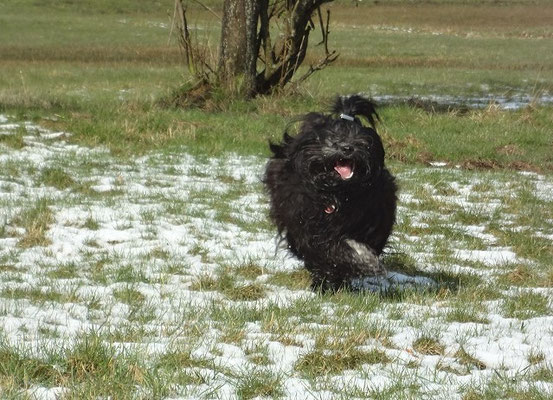 Yeshi gibt nochmal richtig Gas im Schnee
