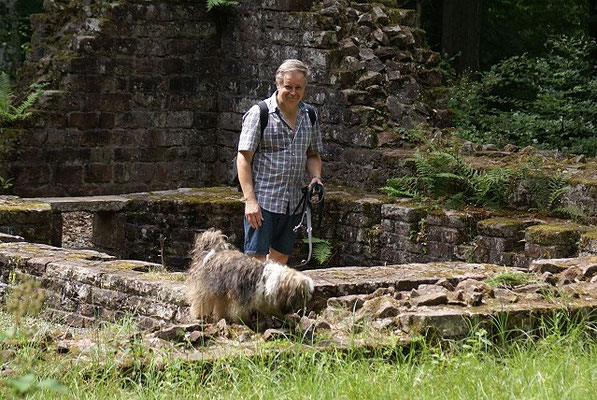 19.7.15 - Wanderung zur Villa Rustica - Herrchen im Glück