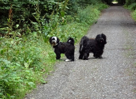 Lisha und Yeshi beim Spaziergang