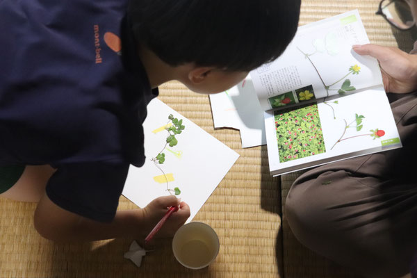 標本をつくる３