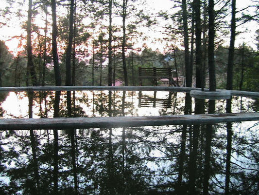 9 soles, Bosque Ecologico; Resort de Montaña, Cabañas - 9soles, Bosque