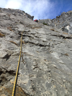 Andy Perkins, 7a