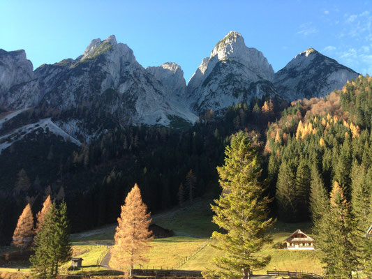 Blick zum Gosaukamm