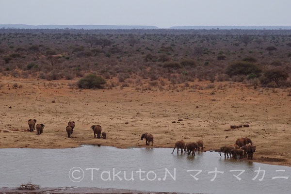 ここから見る景色はほぼそのままの地球の姿、原生自然。遠くに見えるのは世界最長の溶岩流ヤッタ台地。　(ムタンダ・ロック　Tsavo East NP)　