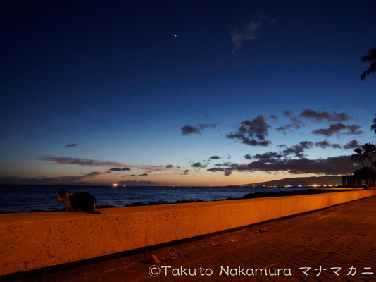 カカアコ・ウォーターフロント公園の夕暮れ