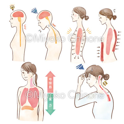 健康系書籍のイラスト