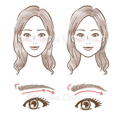 女性の眉毛と顔のイラスト