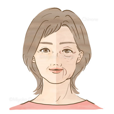 シニア女性の顔のイラスト