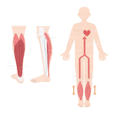 公立学校共済組合　広報誌「共済フォーラム2025年9月号」中ページカットイラスト