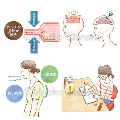 健康系書籍のイラスト