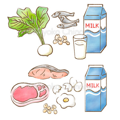 タンパク質の食材のイラスト