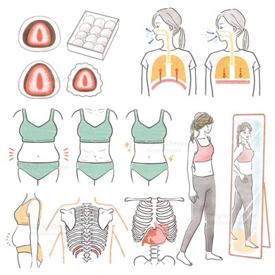 女性の健康イラスト・図解・ダイエット
