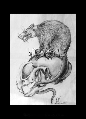 Tattoovorlage Skull and Rat , Bleistift