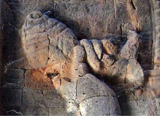 Détail de l'image précédente.