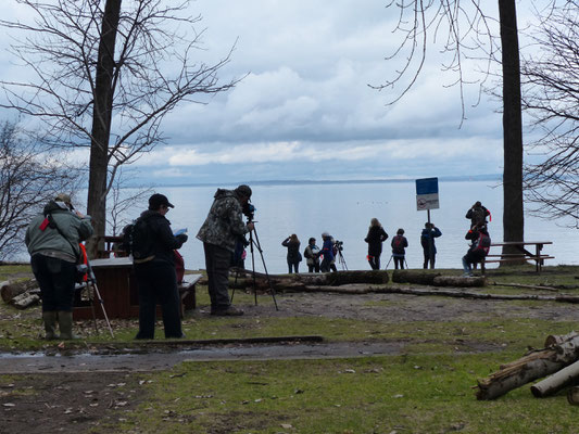 Point d'observation sur le fleuve St-Laurent...
