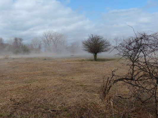 Banc de brouillard...