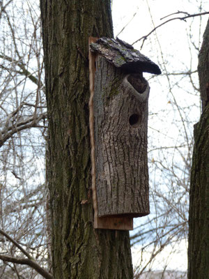 Nichoir naturel et  maison!...