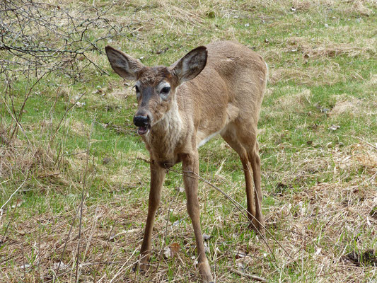 Fais tes ajustements de caméra... je garde la pose !