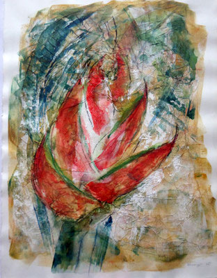 Heliconia   CHF 580.-