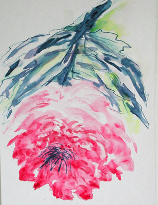 Chrysantheme  CHF 320.-