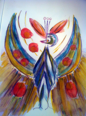 Pfau 1    CHF 350.-