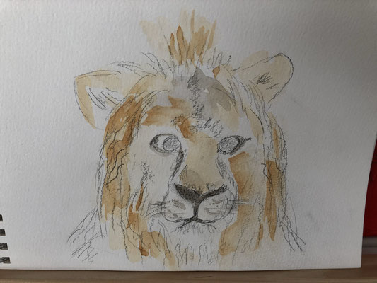 Löwe 30x24 m.R.    CHF 180.-