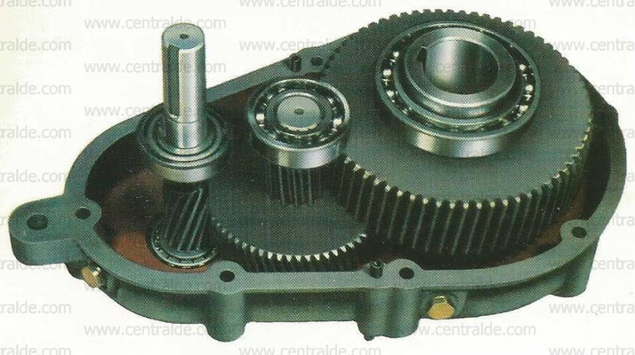 reductor pendular jiv esh