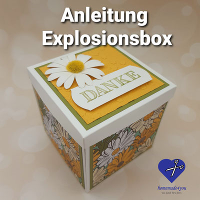 Anleitung Explosionsbox Schöner Garten Gänseblümchen Überraschungsbox Stampin Up