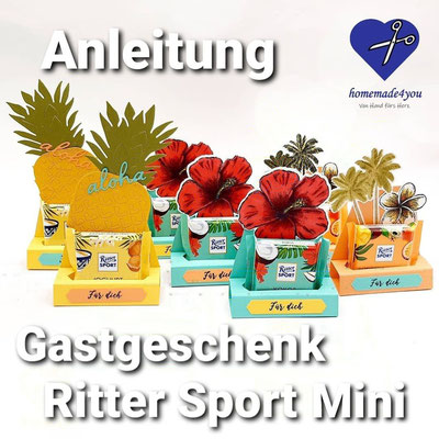 Anleitung Gastgeschenk Gästegoodies Ritter Sport Mini Tropische Träume tropisch Stampin Up