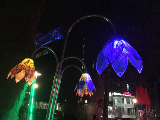 Essen Light Festival - weitgereister.de Reiseberichte ...