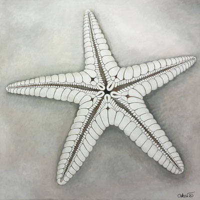 Sommertraum: Seestern - Acryl auf Leinwand 80x80