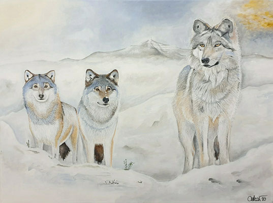 Wunder der Natur, Wölfe am Fusse der Rigi 60x80