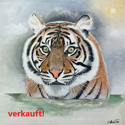 Wunder der Natur, badender Tiger 70x70