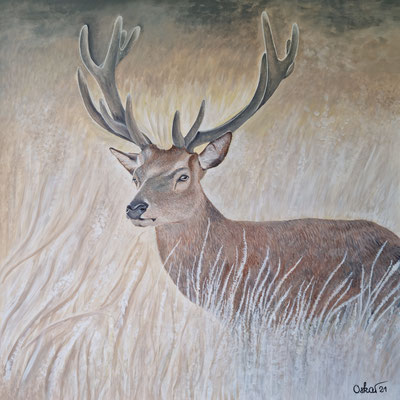 Hirsch auf Wanderschaft 90x90