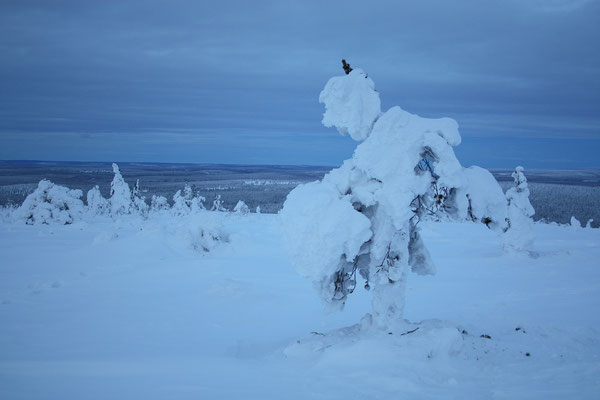 Schöne Baum-Schnee-Skulpturen