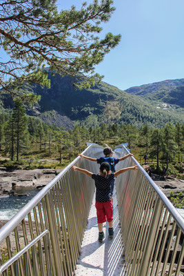 Brücklein am Likholefossen