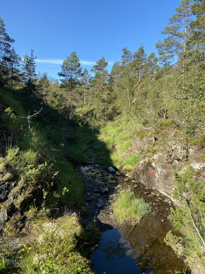 Die Wanderung startet IM Bach