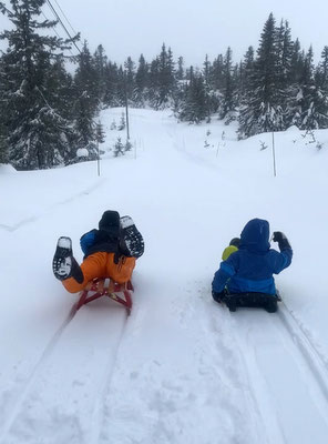 Wir fahren zu unseren Freunden