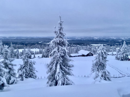 Ein letzter schöner Blick morgens aus dem Fenster