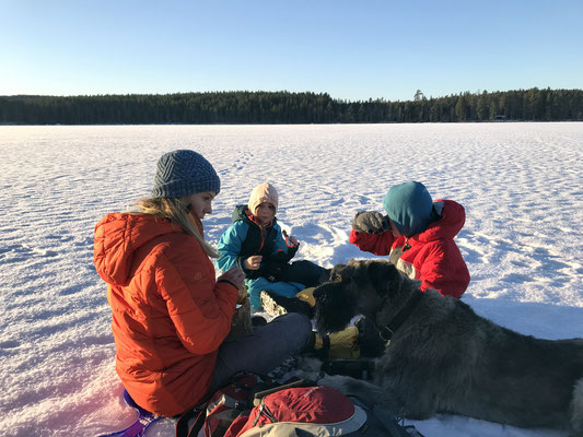 Gemütlicher geht es fast nicht: Picknick auf dem See im Sonnenschein.