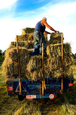 Farming in the Ardennes - © François Struzik - simply human 2010 - Hénumont - Belgium