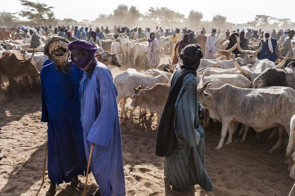 Dahra,  cow herders, SOS Faim - Djolof, Senegal © François Struzik - simply human 2017