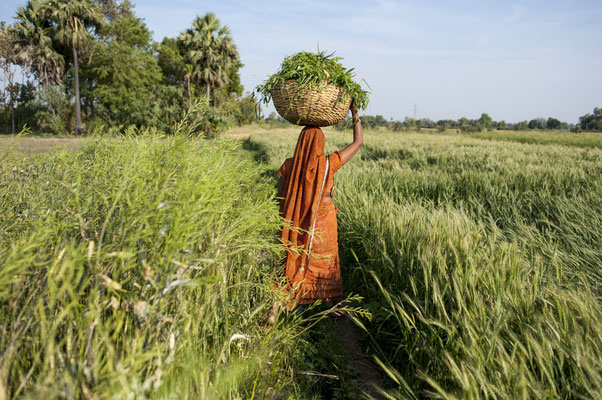 Field work in Bihar © François Struzik - simply human 2016 - India