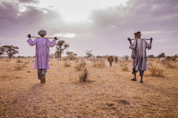 Dahra,  cow shepherd of the village, SOS Faim - Djolof, Senegal © François Struzik - simply human 2017