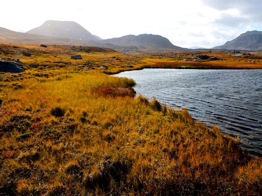 Hiking on Kungsleden- Lappland - Sweden - © François Struzik - simply human 2014 - Alesjaure - Abiskojaure