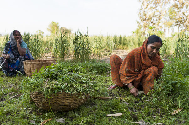 Field work in Bihar © François Struzik - simply human 2016 - India