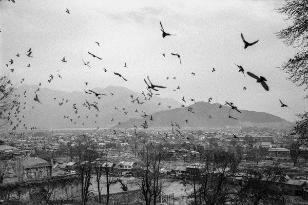 Shrine culture in Kashmir - (Indian Ad. Kashmir / J&K India) - © François Struzik - simply human 2010-2013